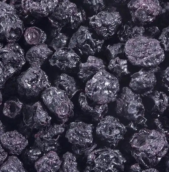 Wild Catskill Forest Blueberries Sundried Dried Dehydrated HIGHBUSH BLUEBERRY