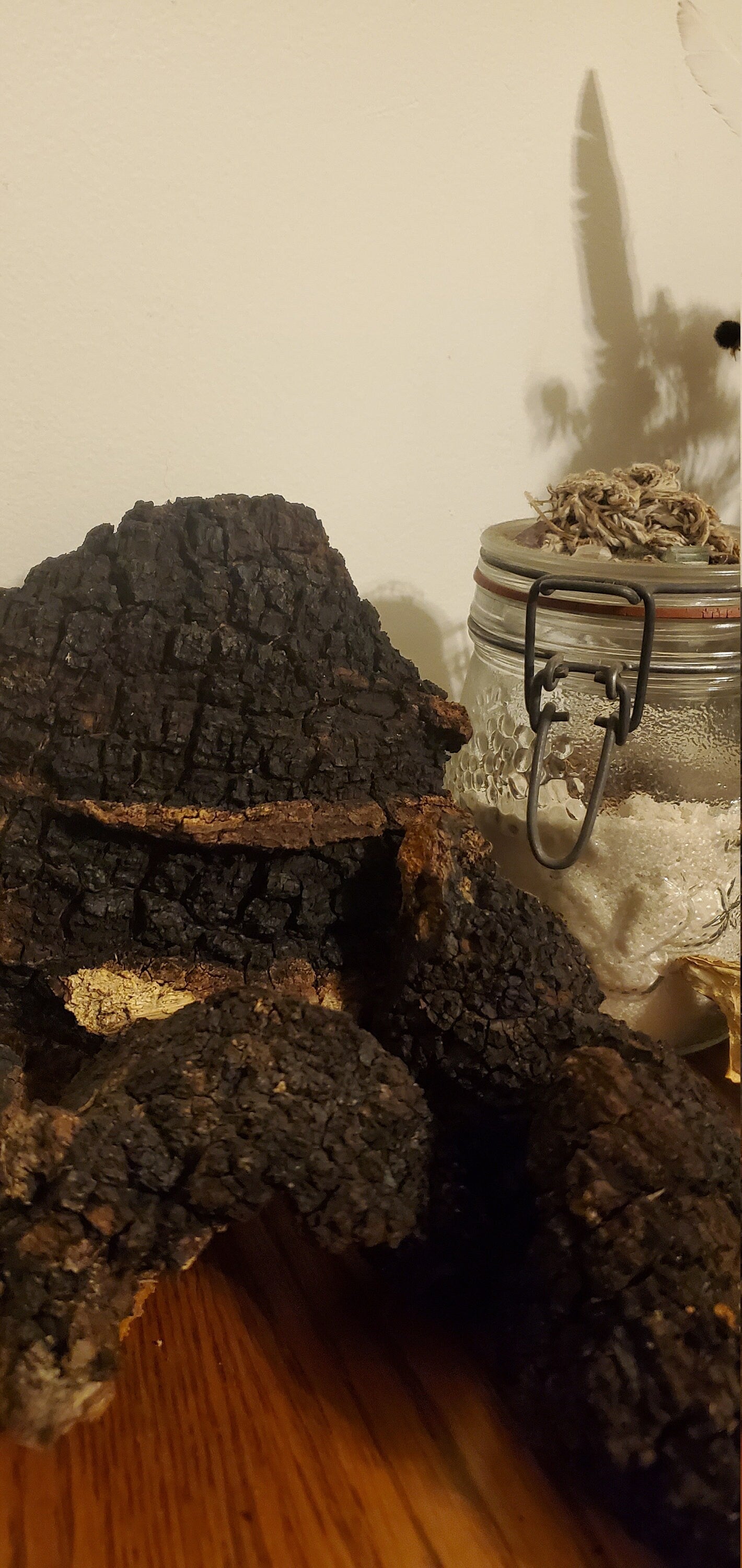 Chaga, Wild Harvested (Inonotus obliquus) - Dried Chunks