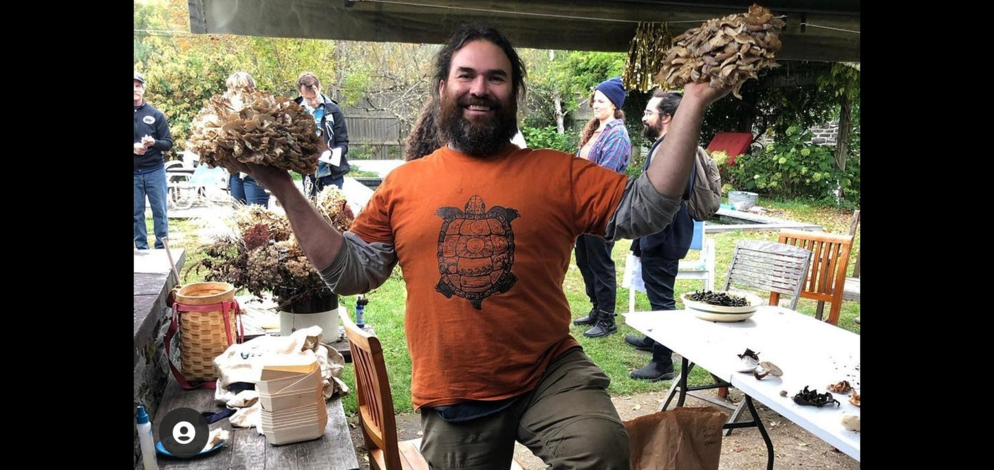 Lions Mane, Wild Harvested (Hericium erinaceus americanum) - Dried Powder