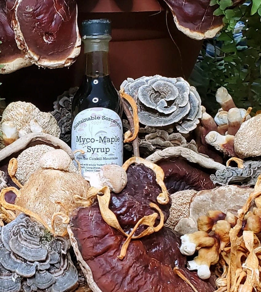 Myco-Maple Musroom Infused Syrup