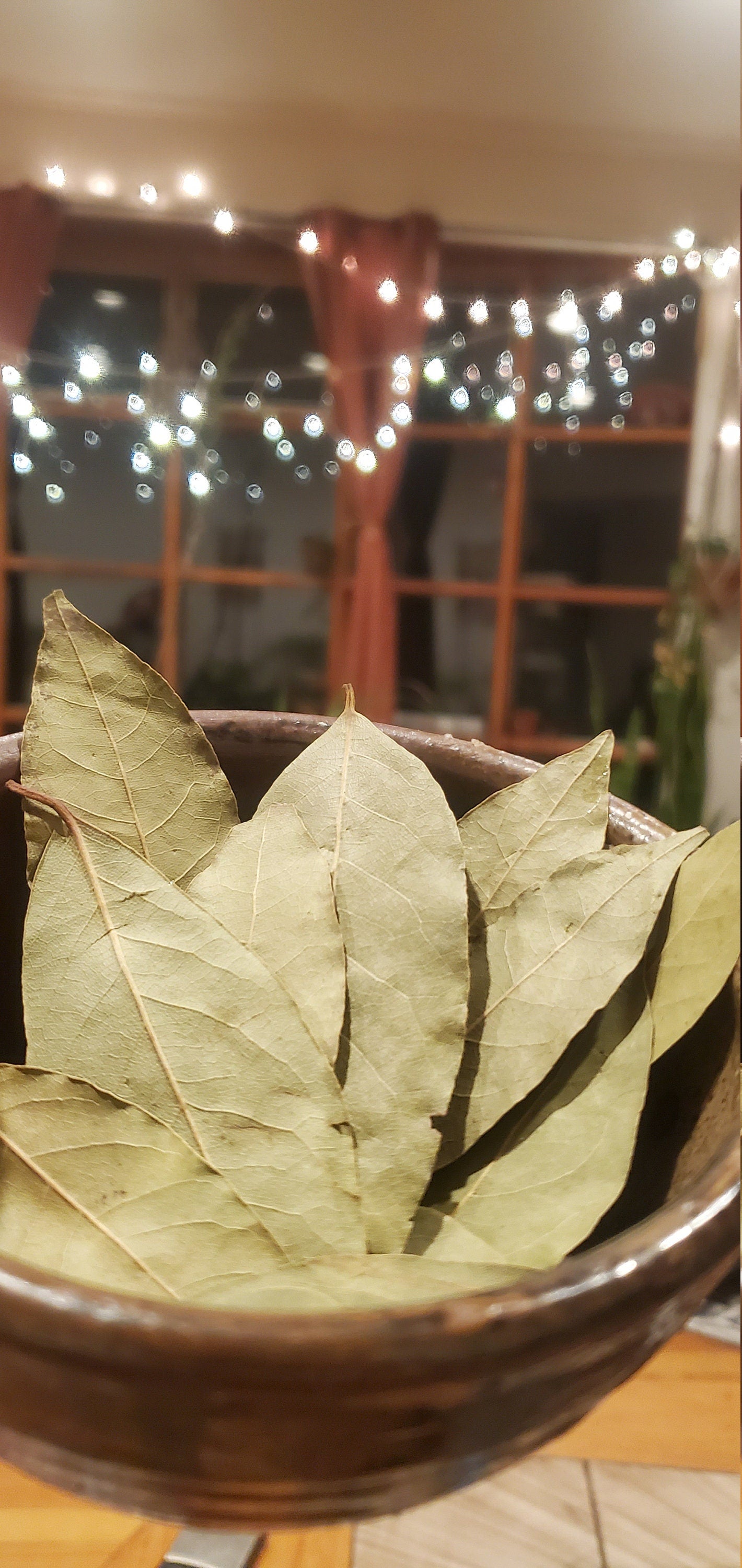 Bay Leaves (Laurus nobilis) - Dried Whole Leaf