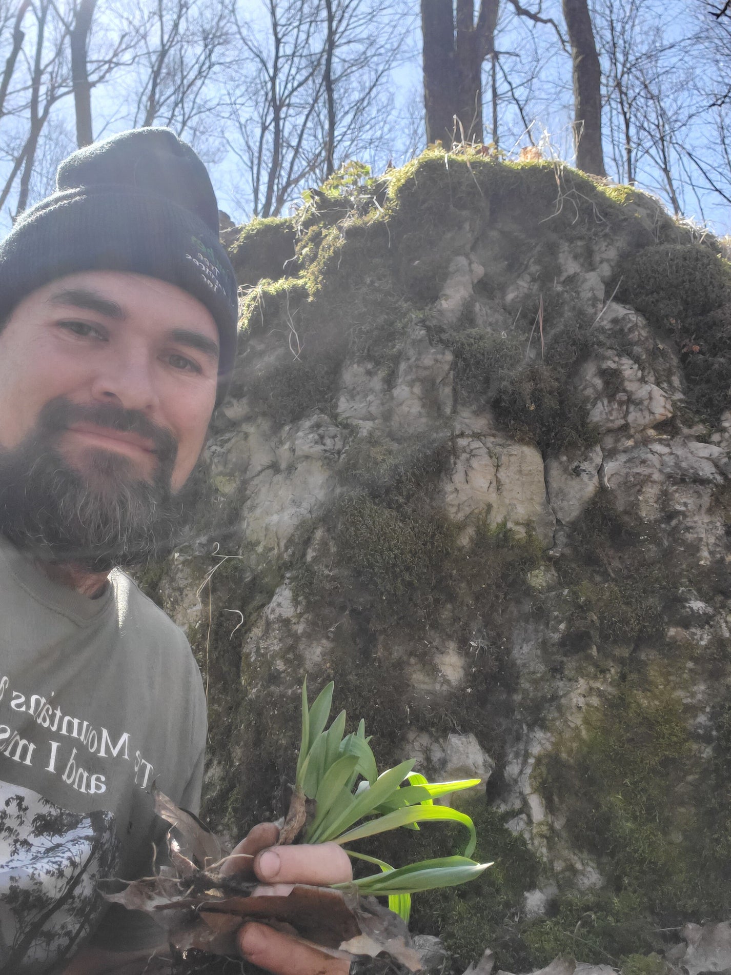 Ramp Bulbs 5yr+ mothers with scape corm/roots intact for transplanting Sustainable Sorcerers