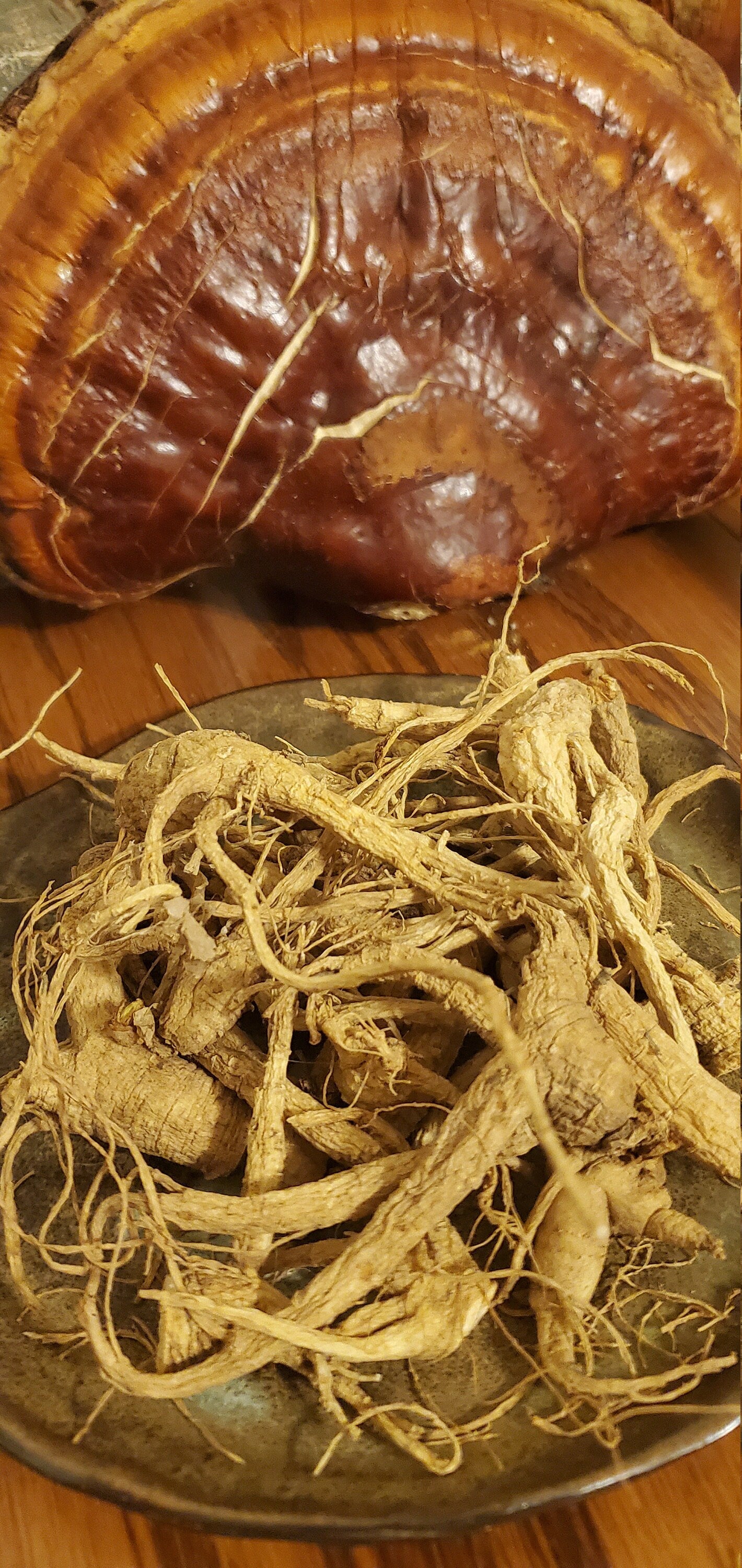 American Ginseng (Panax quinquefolius) - Dried Whole Root