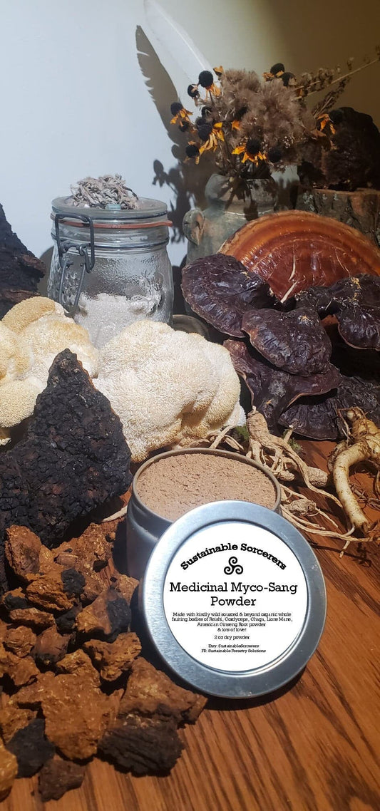 Myco-Sang, Wild Forest Mushroom Powder Blend