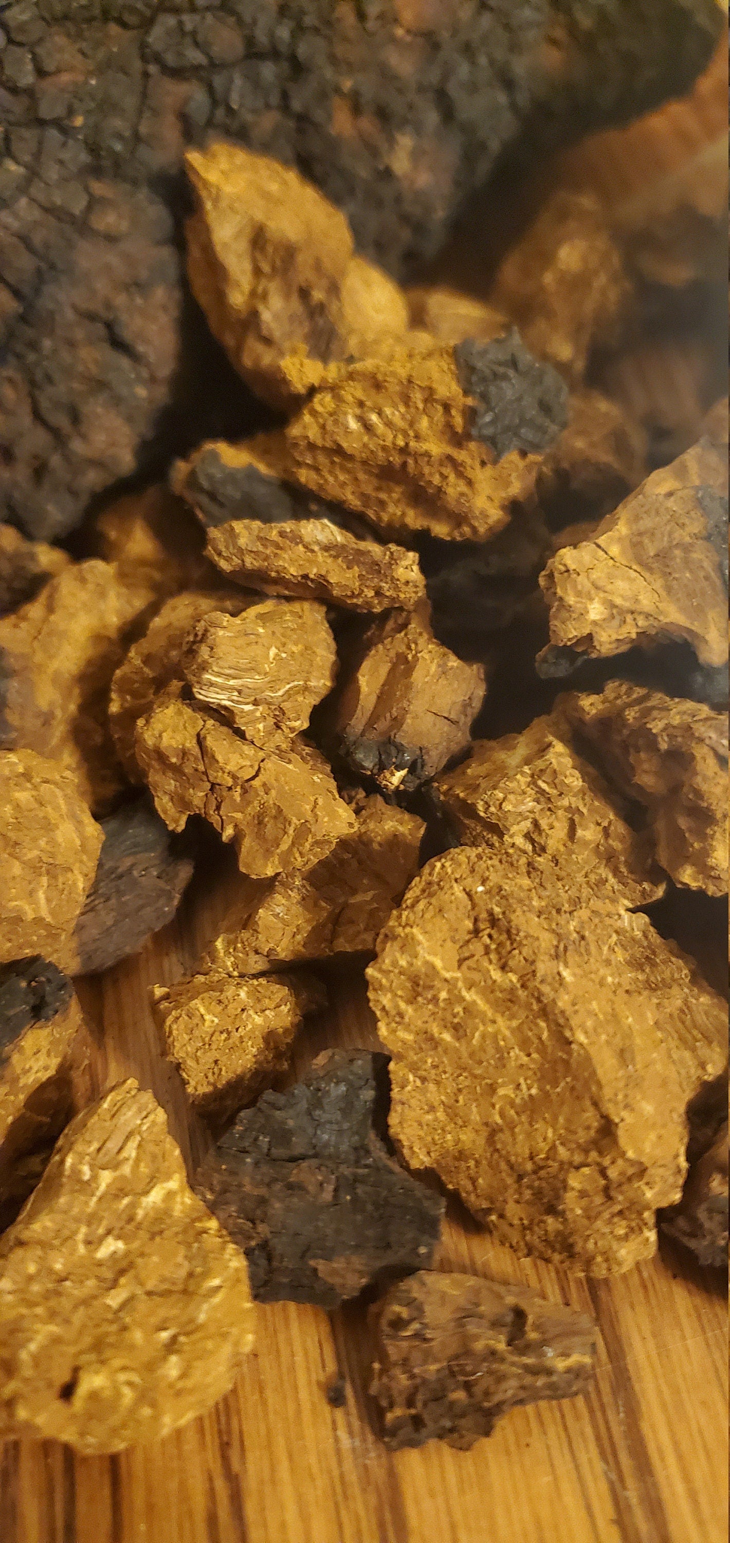 Chaga, Wild Harvested (Inonotus obliquus) - Dried Chunks