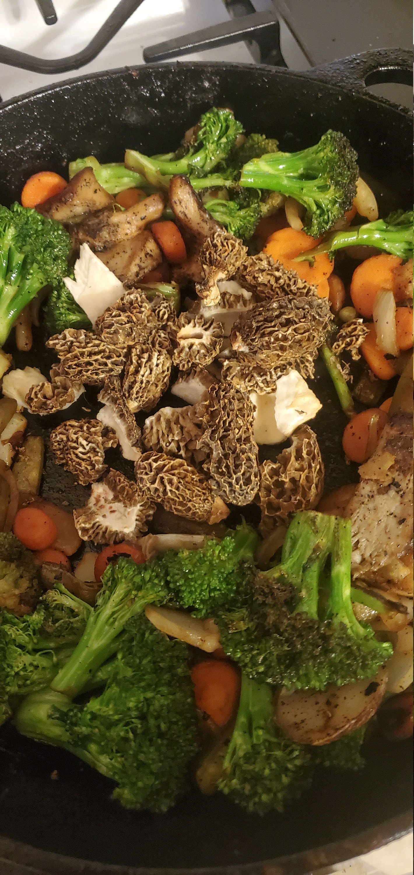 Morel Mushrooms, Wild Harvested (Morchella) - Dried Whole